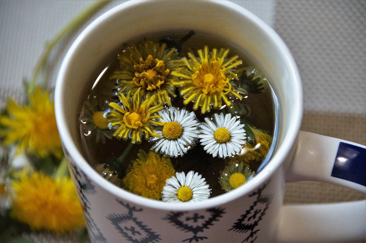 tea, herbal, dandelion